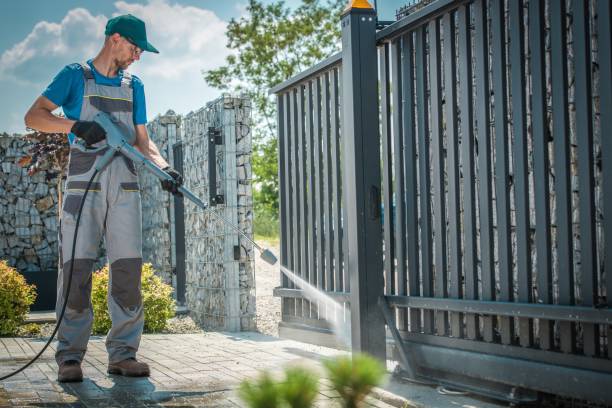 Best Spring Cleaning  in Luna Pier, MI