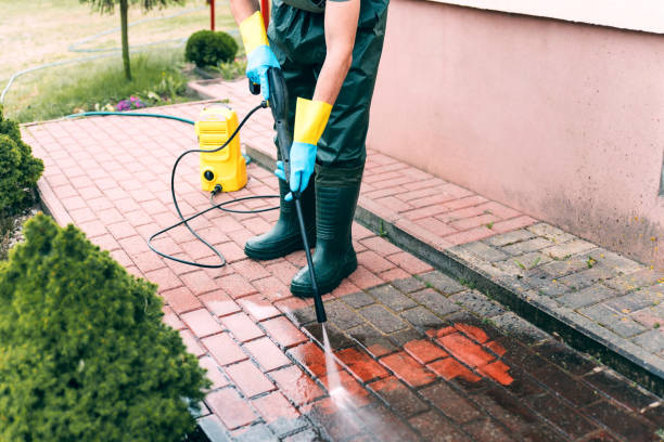 Luna Pier, MI Pressure Washing Services Company